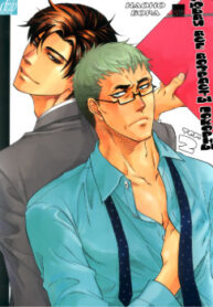 Cover 79528