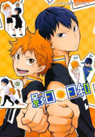 Cover 79538