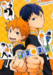 Cover 79538