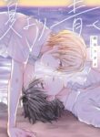Cover 79570