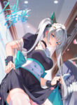 Cover 79626