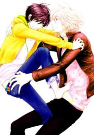 Cover 79676
