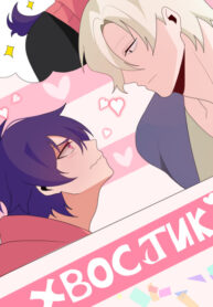 Cover 79775