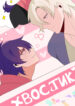 Cover 79775
