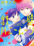Cover 79936
