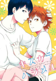 Cover 80079