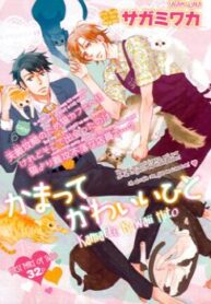 Cover 80090