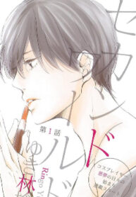 Cover 80094