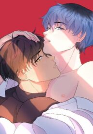 Cover 80124