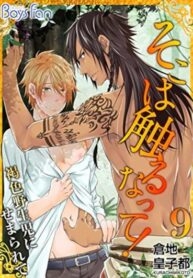 Cover 80203
