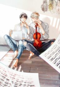 Cover 80255