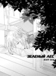Cover 80273
