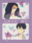 Cover 80289