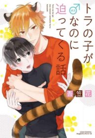 Cover 80291