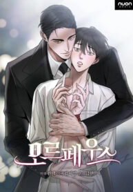 Cover 80404