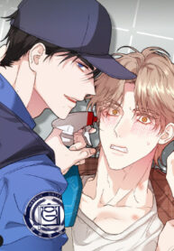 Cover 80441