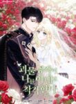 Cover 80527