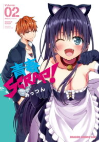 Cover 80585