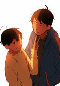 Cover 80637