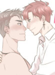 Cover 80645