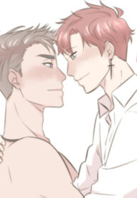 Cover 80645