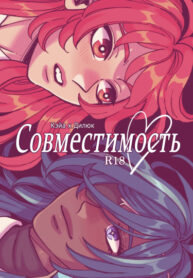 Cover 80656