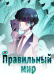 Cover 80882