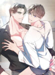 Cover 80896