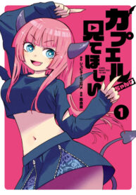 Cover 80899