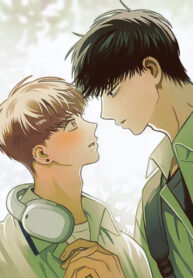 Cover 80913
