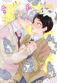 Cover 81086