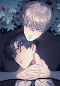 Cover 81088