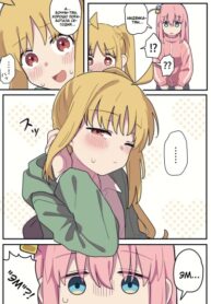 Cover 81118