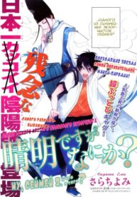 Cover 81128