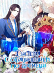 Cover 81176