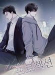 Cover 81287