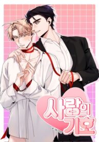 Cover 81312
