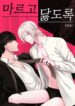 Cover 81332
