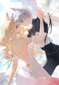 Cover 81491