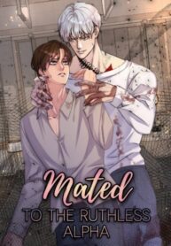 Cover 81573