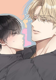 Cover 81577
