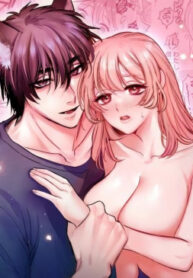Cover 81711