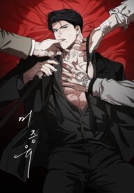 Cover 81729