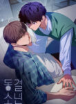 Cover 81731