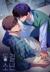 Cover 81731