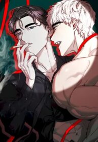 Cover 81732