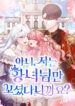 Cover 81753