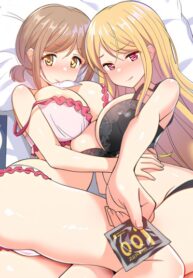 Cover 81901