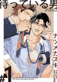 Cover 82032