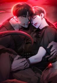 Cover 82034